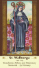 St. Walburga Prayer Card